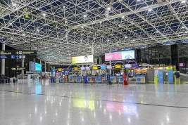 Аэропорт в Сочи захотел ввести режим «открытого неба» для иностранных авиакомпаний