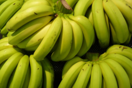 Бананы могут признать социально значимым продуктом в России