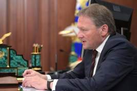 Борис Титов намерен покинуть пост бизнес-омбудсмена в 2022 году