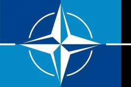 Боррель: НАТО не может зависеть от настроения политиков