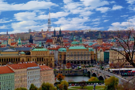 Чешские СМИ раскрыли личность российского «отравителя» с чемоданом яда