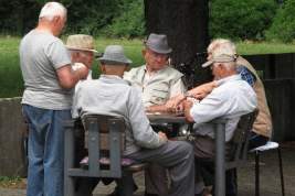 ЦИК одобрил три заявки на проведение референдума о пенсионном возрасте