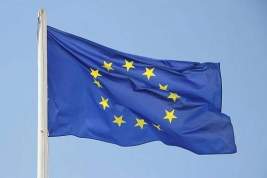 Евросоюз запросил в ВТО консультации с РФ по ограничениям на поставки товаров и услуг