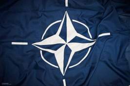 Французский политик обвинил НАТО в желании устроить взрыв в мире с помощью Украины