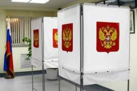 Глава МГИК: Явка на выборах в Москве к 10 утра составила 2%