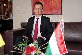 Глава МИД Венгрии Сийярто: мир не понимает позицию Европы по Украине