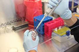 Группа учёных нашла доказательства лабораторного происхождения коронавируса