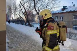 Из-за пожара в здании гимназии в Новосибирске погиб человек
