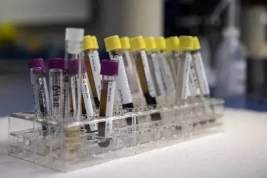 Комиссия обнаружила не менее 50 биолабораторий США на Украине