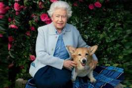 Королева Елизавета II перестала выгуливать собак из-за слабого здоровья