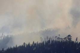 Красноярский губернатор счел борьбу с лесными пожарами бессмысленной