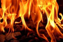 Крупный пожар произошел сегодня на одном из заводов в Рязани