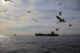 Кулеба призвал сделать Чёрное море внутренними водами НАТО
