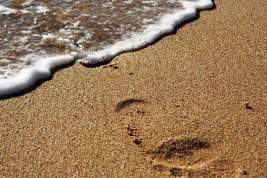 Кварцевый песок появился на десятках пляжей Подмосковья
