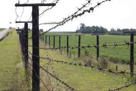 Литва построит стену на границе с Белоруссией для сдерживания нелегальных мигрантов