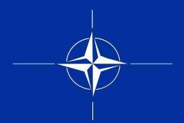 Литва призвала Финляндию и Швецию не затягивать с вопросом вступления в НАТО