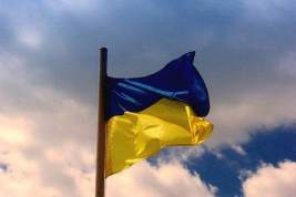 МВД Украины рассказало о сорванном плане майдана с бутафорской кровью