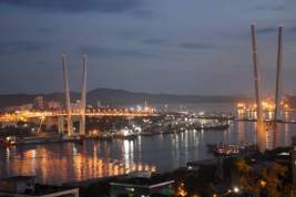 Мэр Владивостока призвал работодателей перевести сотрудников на удаленную работу из-за непогоды