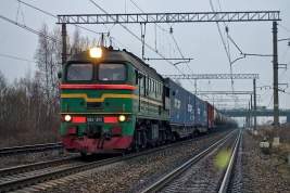 На границе с Китаем российские поезда с углем и лесом скопились на путях