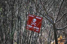 Немецкий генерал Фрейдинг сообщил о больших потерях ВСУ из-за российских мин