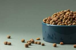 Nestlé запретила бразильской компании рекламировать корм для животных из-за «косплея» бренда PRO PLAN