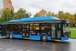 Нехватка водителей автобусов в Чехове вынуждает пассажиров искать другие способы поездок
