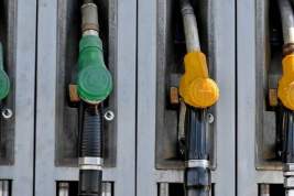 Новак: российские власти примут меры для стабилизации цен на бензин