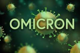 «Омикрон» стал доминирующим в России штаммом коронавируса