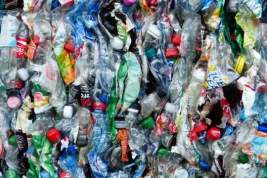 Онищенко выступил за отказ от пластиковых бутылок для воды и пива