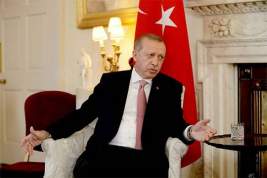 Пандемия коронавируса дает президенту Турции Реджепу Эрдогану шанс попросить о помощи, не потеряв лица