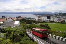 Парламентом Новой Зеландии принят законопроект о разрешении эвтаназии
