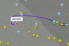 Пассажир самолета Сургут – Москва потребовал развернуть авиалайнер в Афганистан