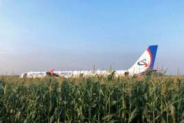 Пассажирский самолет экстренно сел в поле в подмосковном Жуковском