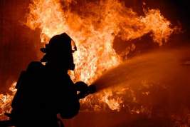 Подросток из Югры спас брата во время пожара