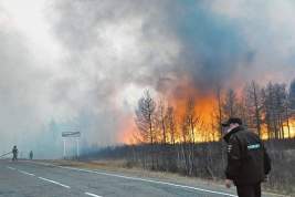 Пока чиновники делят бюджеты, леса продолжают гореть