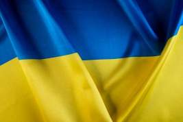 Politico узнала о сообщениях Зеленского Джонсону, что Украина продержится до марта или апреля