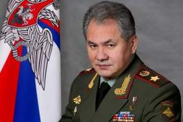 Политики, военные, артисты и другие известные россияне поздравили министра обороны с днём рождения