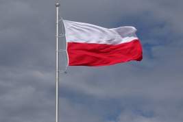 Политолог связал с местью отказ Польши пригласить главу РФ в Освенцим