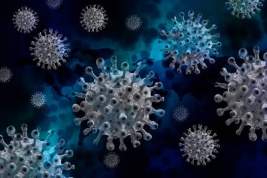 Попова: наступил удачный момент для прививки от коронавируса