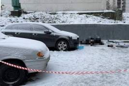 Появились подробности об убийстве зарезанной в Москве девушки