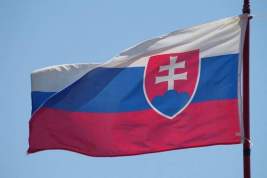 Президент Словакии Пеллегрини заявил, что у Роберта Фицо впереди «критически важные часы и дни»