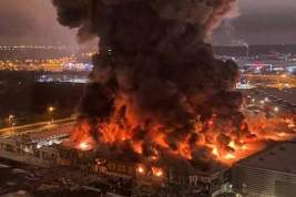 Раскрыта вероятная причина пожара в ТЦ «Мега Химки»