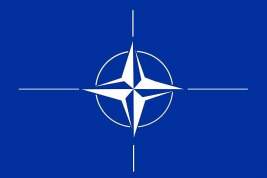 Reuters: Финляндия и Швеция в ближайшие дни подадут заявку на вступление в НАТО