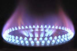 Reuters: «Газпром» сообщил о форс-мажоре по поводу поставок газа