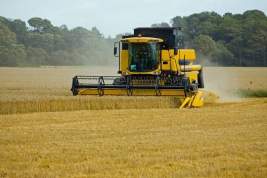 Reuters: РФ попросила Запад отменить санкции против Россельхозбанка для экспорта зерна