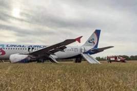 Росавиация отменила отчет по расследованию аварийной посадки А320 «Уральских авиалиний» и продолжит разбирательство