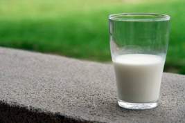 Российские производители молока просят централизованно распределять упаковку