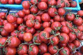 Россия решила временно отказаться от томатов из Турции, Армении и Азербайджана