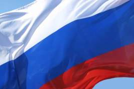Россияне перебрали с алкоголем и украли флаг со школьного двора