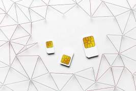 Сенатор Шейкин: для защиты от мошенников необходимо менять пин-коды на SIM-картах